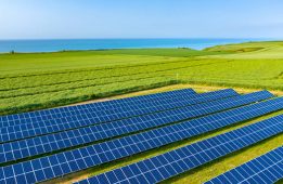 Selfee_circuit-court_energies_renouvelables
