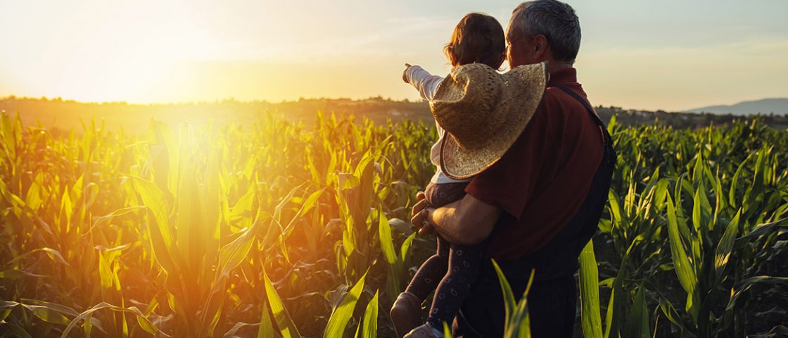 Les défis de l'agriculture