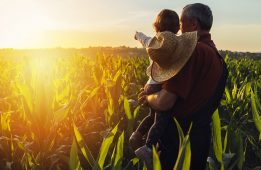 Les défis de l'agriculture