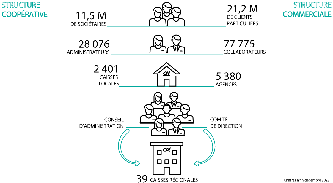 Les sociétaires forment le socle de l’organisation coopérative