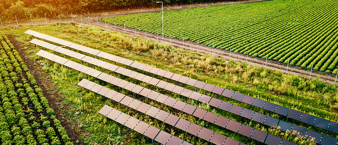 Fermes photovoltaïques