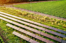 Fermes photovoltaïques