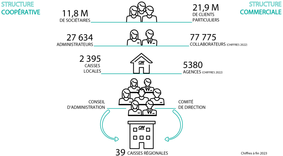 Les sociétaires forment le socle de l’organisation coopérative