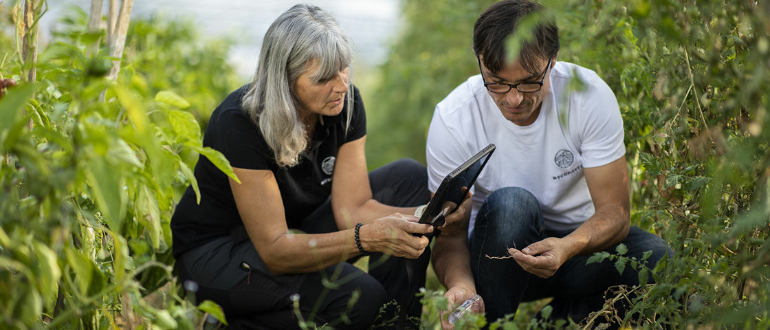 Mycophyto, une start-up innovante accompagnée par le Crédit Agricole Provence Côte d'Azur.