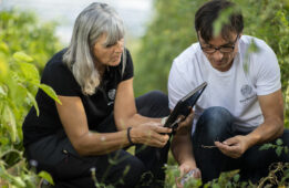 Mycophyto, une start-up innovante accompagnée par le Crédit Agricole Provence Côte d'Azur.