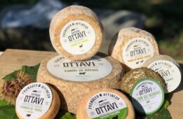 Le Crédit Agricole de la Corse accompagne la fromagerie Ottavi.