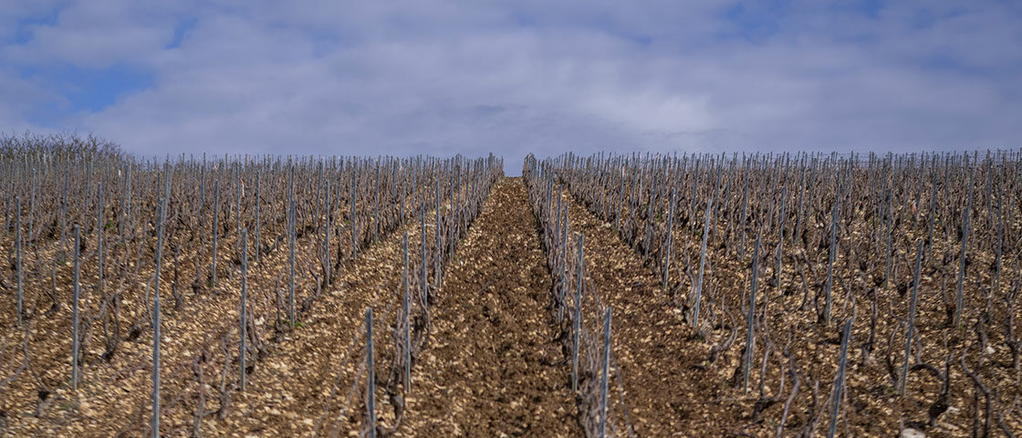 Routes des Transitions µchampagne bourgogne