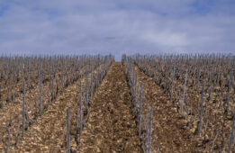 Routes des Transitions µchampagne bourgogne