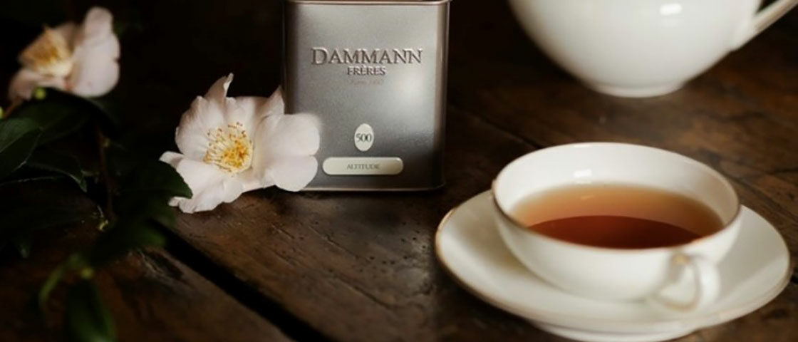 Damman_frères