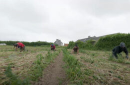 Les rendez-vous agri Crédit Agricole du Finistère
