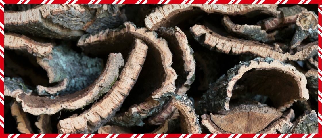 Lièges_High_Performance_Crédit_Agricole_Aquitaine