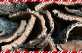 Lièges_High_Performance_Crédit_Agricole_Aquitaine