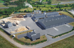 Scions, scions du bois…