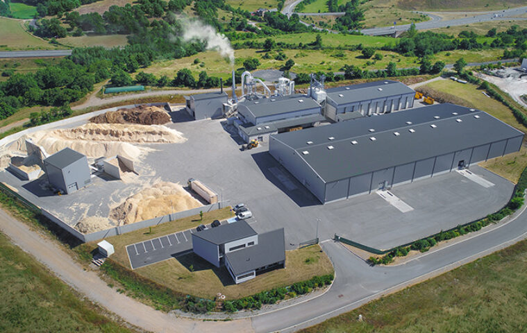 Scions, scions du bois…